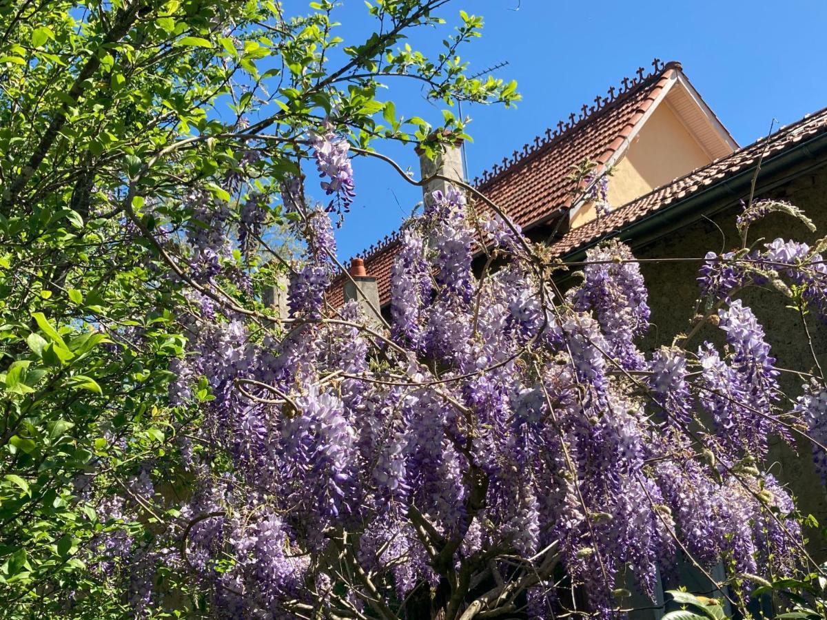Domaine La Jam Bed & Breakfast Marciac Exterior foto